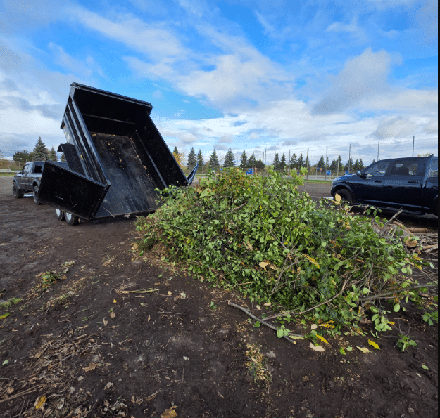 Spring and Fall Seasonal Cleanup