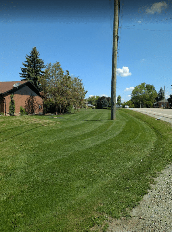 Precision Lawn Mowing and Edging