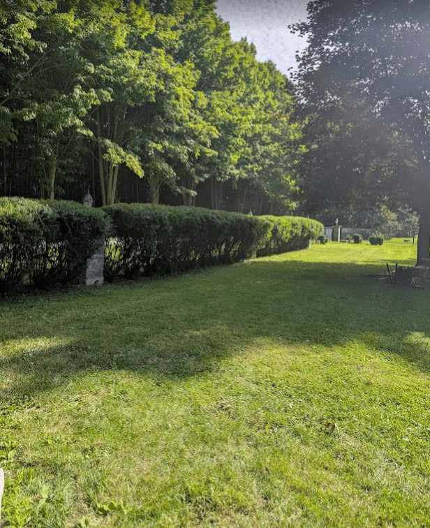 Garden Bed and Hedge Maintenance